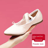 Adult Jazz Ballroom Canvas Dance Shoes Women Teacher Soft Sole Latin Modern Dance Standard Practice MartLion Pink 1cm HEEL 40 
