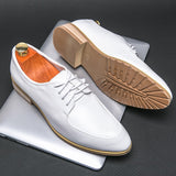 Men's Wedding Leather Shoes Formal White Lace Up Dress Oxfords Retro Elegant Office Leisure Work Footwear Mart Lion White 38 