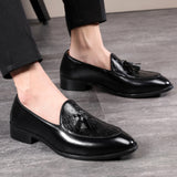 Men's Classic Tassels Loafers Microfiber Leather Casual Shoes Wedding Party Moccasins Driving Flats Mart Lion   
