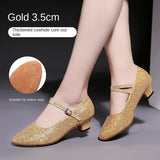 Sequined Modern Adult Latin Dance Ballroom Dance Shoes Women Practice Soft Sole High Heels MartLion 3.5 golden fur sole 34 