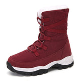 Winter cotton shoes high top snow boots women's outdoor casual warm non-slip plus velvet cotton Mart Lion Wine Red 35 