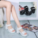  Summer Designer Women Sandals Thick Heel Platform Shoes Casual Fish Mouth Ladies Mart Lion - Mart Lion