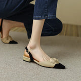 Summer Women Shoes Camellia Pointed Toe Sandals Mixed Colors Low Heel for Low Heels MartLion   