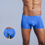 men's transparent underwear boxer Shorts Trunks ice silk Male panties underpants Gay underwear penis MartLion   