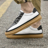 Outdoor Shoes Genuine Leather Men's Sneakers Summer Hollow Out Lace-Up Footwear Classic Skate MartLion   
