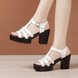 8cm Genuine Leather Shoes Gladiator Sandals Summer Women Block High Heels Platform Office MartLion white 8CM 38 