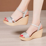 Bling Street Style Platform Wedges Shoes Summer Elegant Beach High Heels Sandals for Women Office MartLion Silver 3.5 