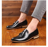 Men's Casual Leather Shoes Tassels Party Wedding Loafers Slip-on Outdoor Flats Mart Lion   