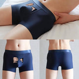 Funny Men's Boxer Panties Summer Ice Silk Underpants Breathable Briefs Bog Quick-Drying Boxershorts Cartoon Underwear Mart Lion   