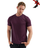 100% Merino Wool T Shirt Men's Base Layer Merino T shirt 180G Everyday Undershirt Wicking Breathable Anti-Odor + Hiking Socks MartLion Purple USA Size M 