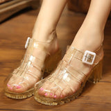 Summer Jelly Shoes Women Sandals Square High Heels Transparent Platform Lady Bling Silver Jelly Mart Lion 3 35 