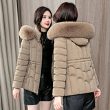 Down winter Jacket Women Parkas  Warm Cotton Padded Coat Ladies Short Overcoat Hooded MartLion   