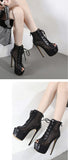 Liyke Mesh Peep Toe Party Club Stripper Pole Dance Platform Boots Zip Lace-Up Extreme High Heels Dancing Shoes Women Mart Lion   