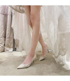Queen Lace Pumps Bride Female Sequin Mesh High Heels 9cm Ladies Party Dress Elegant Wedding Shoes Heels Women Bridal Mart Lion   