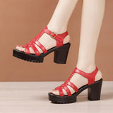 8cm Genuine Leather Shoes Gladiator Sandals Summer Women Block High Heels Platform Office MartLion red 8CM 34 