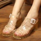 Summer Jelly Shoes Women Sandals Square High Heels Transparent Platform Lady Bling Silver Jelly Mart Lion   