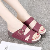 Women's Wedge Heeled Sandals Casual Open Toe Platform Slipper Slip Heel Height 4.0cm MartLion   