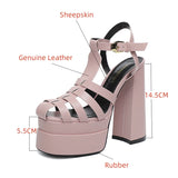 Gothic Thick Sole Sandals Women's Summer Slope Heel Open Toe Gladiator Shoes Hollow out High Heels MartLion   