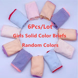 6 Pcs/lot Baby Kids Girls Underwear Briefs Panties Short Colorful Panties Children Cotton Briefs Mart Lion TNN0977 2T 
