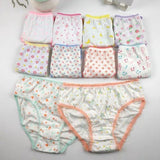 6Pcs/Pack Fashion Baby Girls Underwear Cotton Panties Kids Shorts Briefs Children Underpants 2-12Years Mart Lion   