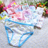 6pcs/Lot Fashion Girls Briefs Underwear Kids Cotton Panties Children Underpants Suit1-12Years Mart Lion   