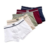 Children Boy Underwear for Kids Funny Beard Boxer Panties Shorts Soft Cotton Underpants Boys Teenage Striped Panties Kids 2-16Y Mart Lion Ivory 2T 