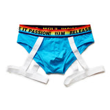 men's Underwear Ropa Interior Hombre Gay Men's Cotton Briefs Underpants Cueca Masculina Slip Homme Mart Lion Blue M 