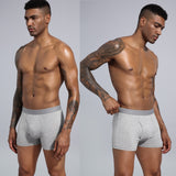 Men's Underwear Boxers Pack Cotton Shorts Panties Short Shorts Boxers Underpants Boxershorts Mart Lion   