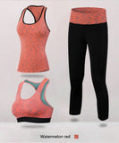 1/2/3pcs Fitness Tracksuit for Women Sleeveless Sport Shirt Gym Bra Tops Trousers Girl Sport Suit Gym Pants Green suit Mart Lion   
