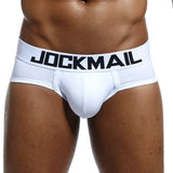 Men's Underwear Briefs Jockstrap Pouch Cuecas Cotton Stripe Panties Thongs Underpants Mart Lion   