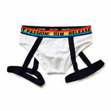 men's Underwear Ropa Interior Hombre Gay Men's Cotton Briefs Underpants Cueca Masculina Slip Homme Mart Lion White M 