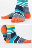5 Pairs Lot Men's Summer Cotton Toe Socks Striped Contrast Colorful Patchwork Five Finger Basket Calcetines Mart Lion   