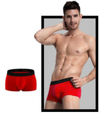 4 pcs/Lot Boxers Men's Underwear Cotton Shorts Panties Shorts Home Underpants Boxer Mart Lion   