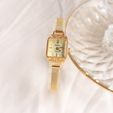 retro exquisite square leisure small dial women's watch life waterproof imported quartz movement Mart Lion 6236A  
