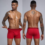Men's Underwear Boxers Pack Cotton Shorts Panties Short Shorts Boxers Underpants Boxershorts Mart Lion   