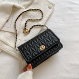 Chain Small Bag Female Simple Autumn And Winter Texture Small Square Bag Net Red Shoulder Crossbody Bag Mart Lion Black  