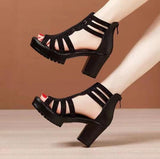 Heels Gladiator Sandals Woman Open Head Rivet Block Heel Platform Shoes Summer Back Zip Mart Lion   
