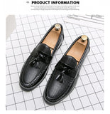 Casual Men's Leather Shoes Tassel Loafers Luxury Flats Sneakers Dress Mart Lion   