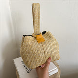 Summer Popular Straw Small Handbags Net Red Bucket Shoulder Bag Western Style Chain Crossbody Bags Mart Lion Style 2  