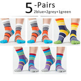 5 Pairs Lot Men's Summer Cotton Toe Socks Striped Contrast Colorful Patchwork Five Finger Basket Calcetines Mart Lion 2blue2grey1green  