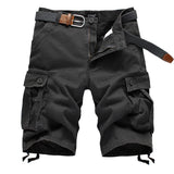 Pockets Cargo Shorts Men's Summer Straight Fit Casual Cotton Shorts Men's Outdoor Running Classic Shorts Mart Lion Grey 29 China