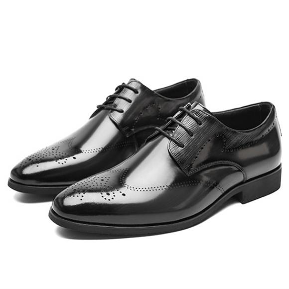 Elegant Brogue Shoes Men's Lace Up Point Toe Oxfords Formal Style Leather Wedding Party Social Office Mart Lion Black 38 
