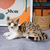 4 Colors 31cm INS Like Real Prone Cat Plush Doll Stuffed Pure Colors Grey White Yellow Kitten Toy Pets Animal Kids Gift Mart Lion 30cm lying pattern  