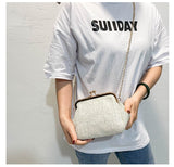  Autumn Straw Handbags Mini Shell Clip Shoulder Bag Ethnic Wind Single Shoulder Crossbody Chain Bag Woman Mart Lion - Mart Lion