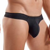 Underwear Men's Briefs Panties Penis Pouch String Sissy Cuecas Gay Thongs Tangas Mesh Bikini Calzoncillos Dry Ice Mart Lion   