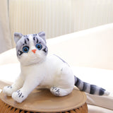 4 Colors 31cm INS Like Real Prone Cat Plush Doll Stuffed Pure Colors Grey White Yellow Kitten Toy Pets Animal Kids Gift Mart Lion 26cm white grey  