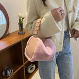  Autumn And Winter Lamb Wool Bags Women Bags Tide Pure Color Chain Handbag Niche Texture Single Shoulder Crossbody Bag Mart Lion - Mart Lion