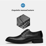 Vintage Mesh Men's Oxford Shoes Genuine Leather Lace Up Dress British Style Pointed Toe Wedding Mart Lion   