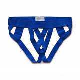 Gay G-String Men's Panties Underwear Sissy Thong Cuecas Mascilinas Cut Out Slips Men's Bikini Hot Lingerie Mart Lion Blue M 