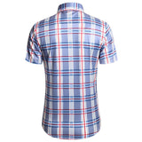 Men's Summer Shirt Vintage Chamise Homme Classique Formal Workwear Wedding Dress Checked Shirt Men's Blusa Masculina Luxo Mart Lion   